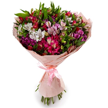 35 разноцветных альстромерий