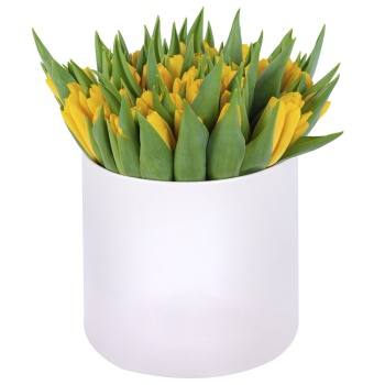 51 желтый тюльпан в кремовой шляпной коробке