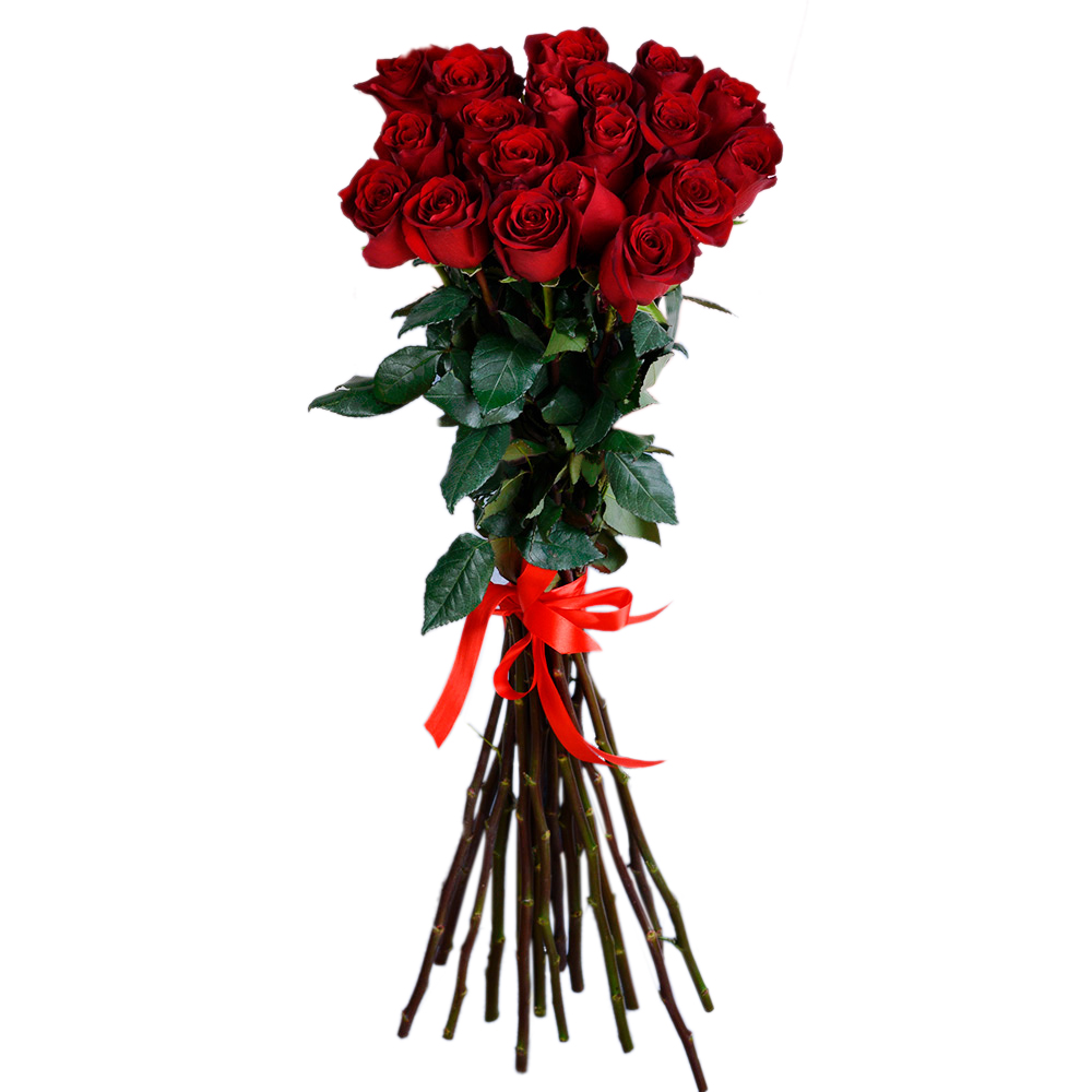 19 красных роз 70 см