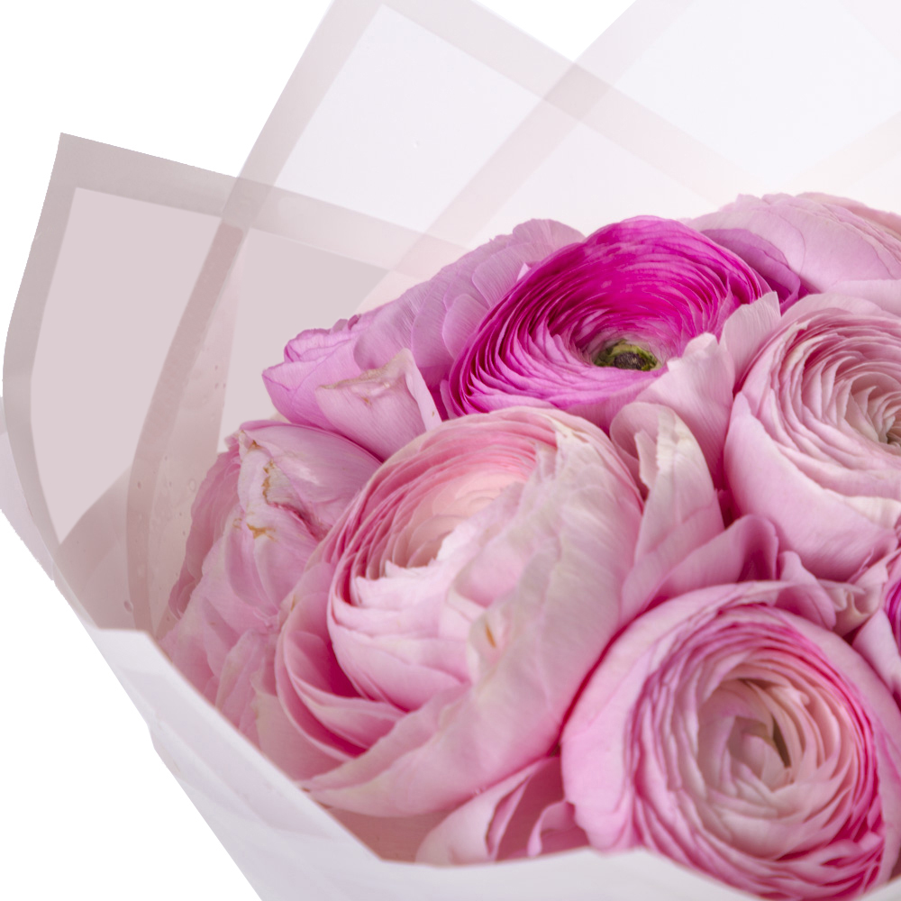 Букет из 11 розовых ранункулюсов