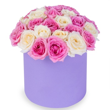 25 разноцветных роз premium в фиолетовой шляпной коробке