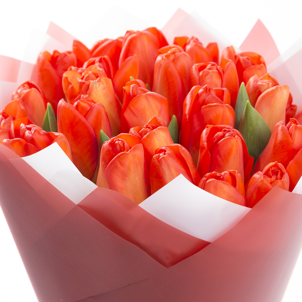 25 оранжевых тюльпанов