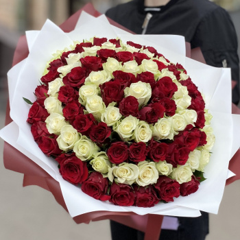 Букет из 101 розы красного и белого цвета