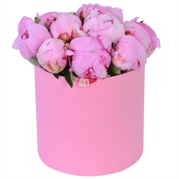 Букет из 11 розовых пионов в розовой шляпной коробке