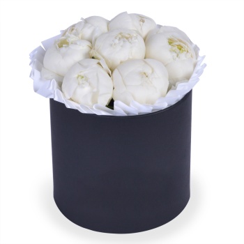 Букет из 9 белых пионов в черной коробке