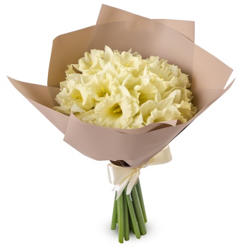 Букет из 19 белых нарциссов
