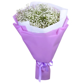 11 белых гипсофил