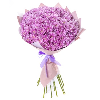 Букет из 19 сиреневых хризантем