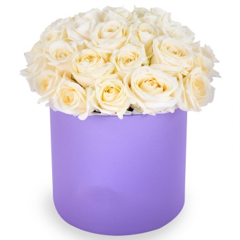Букет из 35 белых роз premium в фиолетовой шляпной коробке