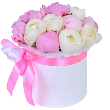Букет из 11 разноцветных пионов в белой шляпной коробке