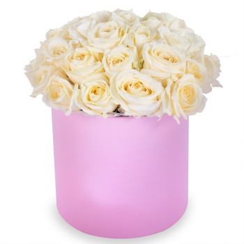 Букет из 35 белых роз premium в розовой шляпной коробке