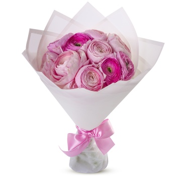 Букет из 11 розовых ранункулюсов