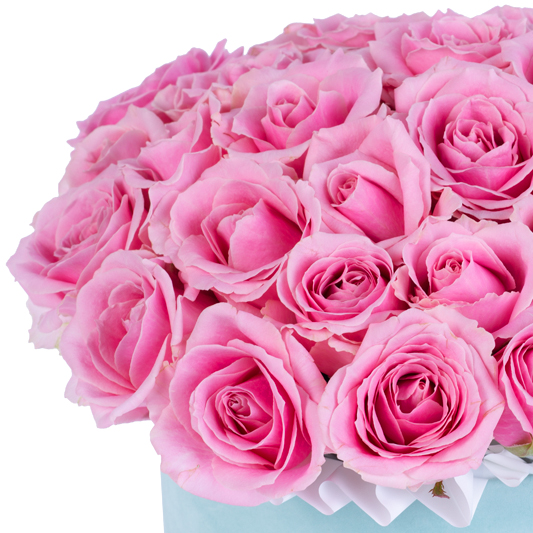 Букет из 25 розовых роз premium в зеленой бархатной шляпной коробке