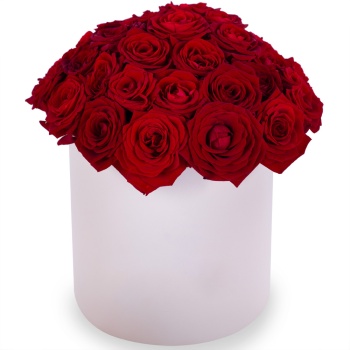 Букет из 35 красных роз premium в кремовой шляпной коробке
