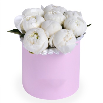 Букет из 9 белых пионов в розовой шляпной коробке