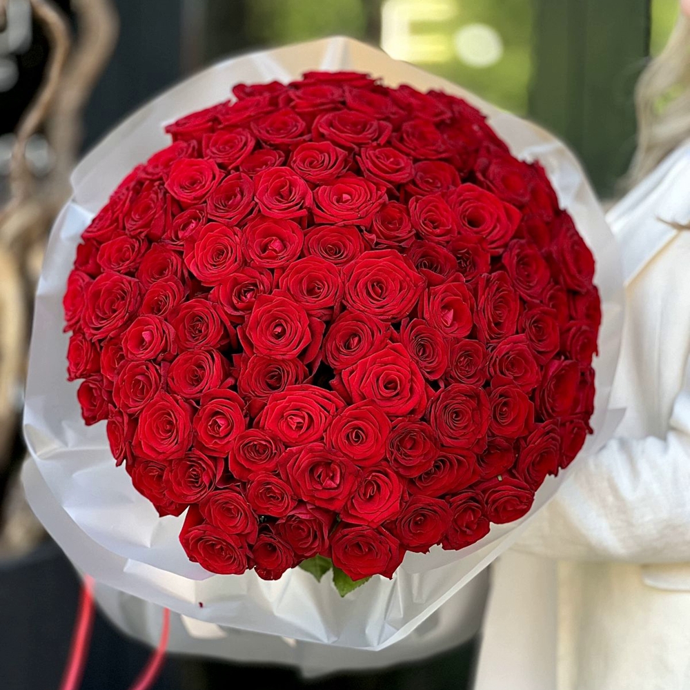 101 красная роза