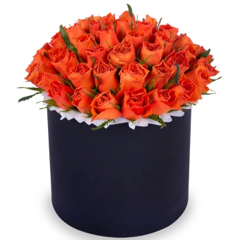 51 оранжевая роза в черной шляпной коробке