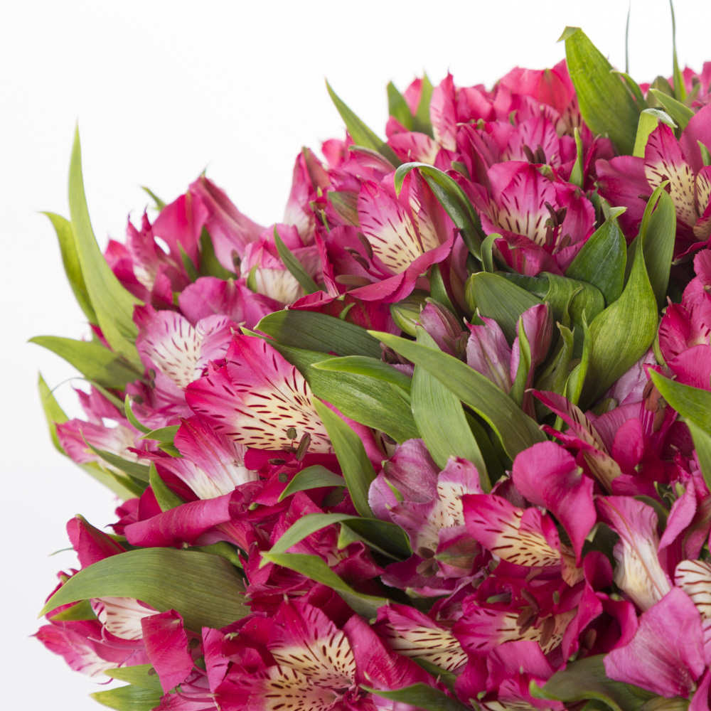 35 альстромерий в шляпной коробке