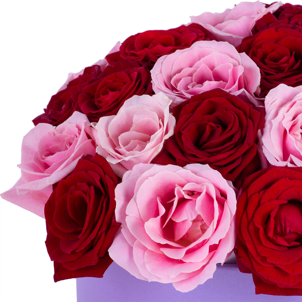 Букет из 35 разноцветных роз premium в фиолетовой шляпной коробке
