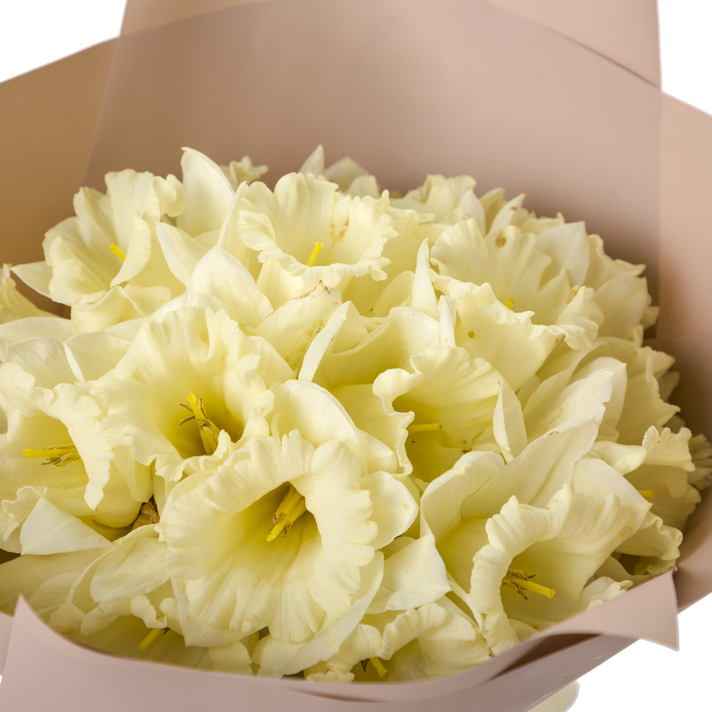 Букет из 19 белых нарциссов