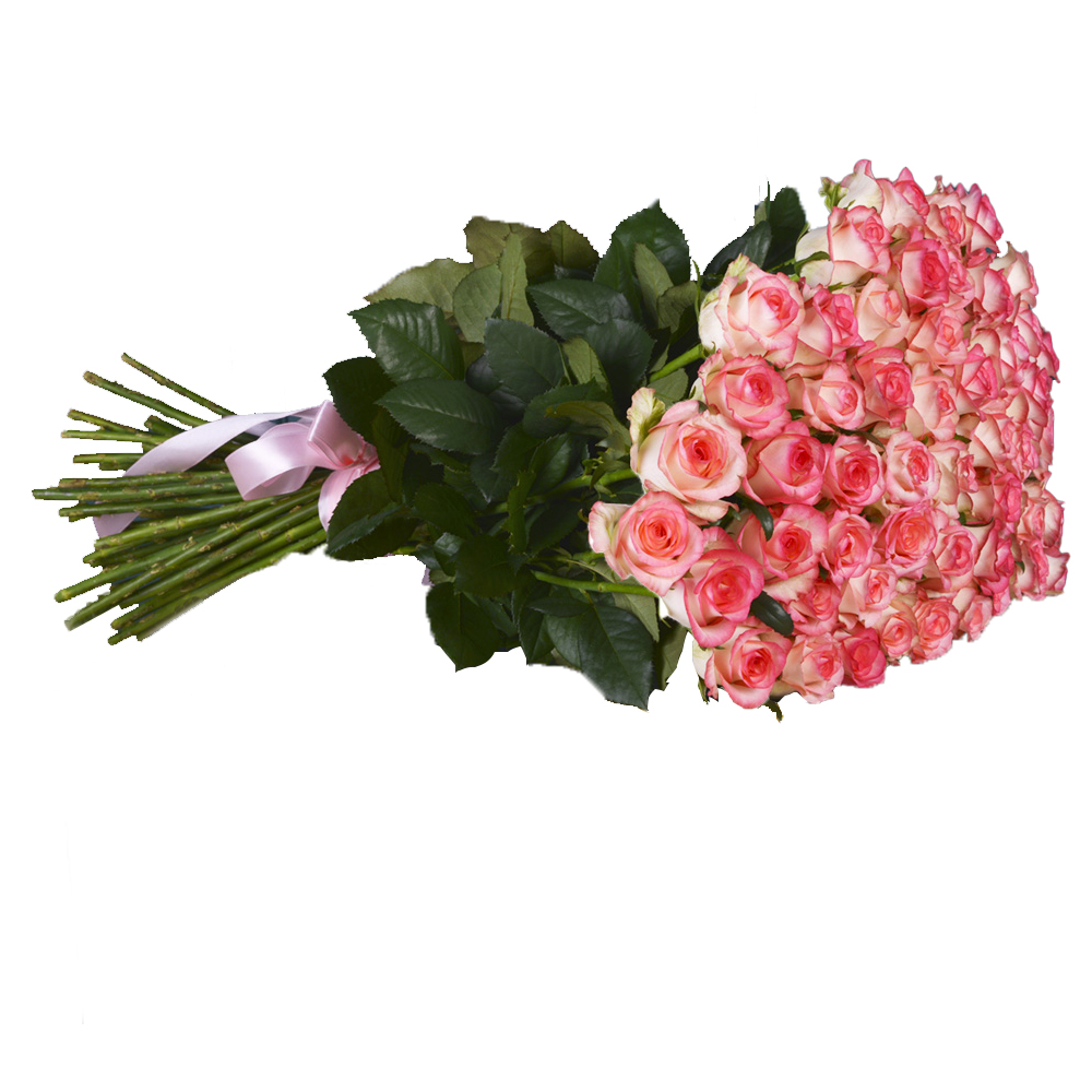 101 малиновая роза premium 60 см