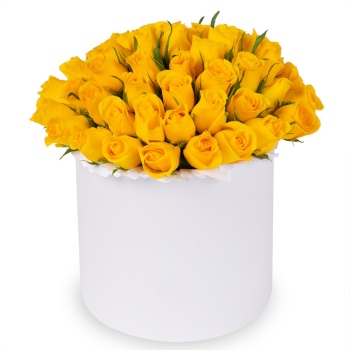 51 желтая роза в белой шляпной коробке