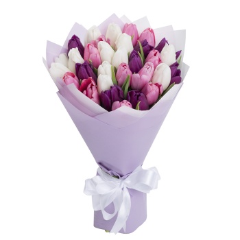 31 разноцветный тюльпан