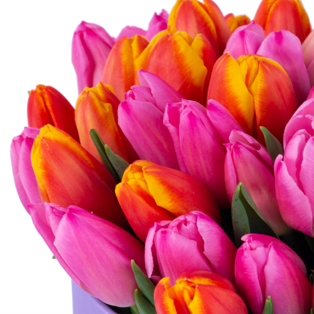 Букет микс из 51 тюльпана в фиолетовой шляпной коробке