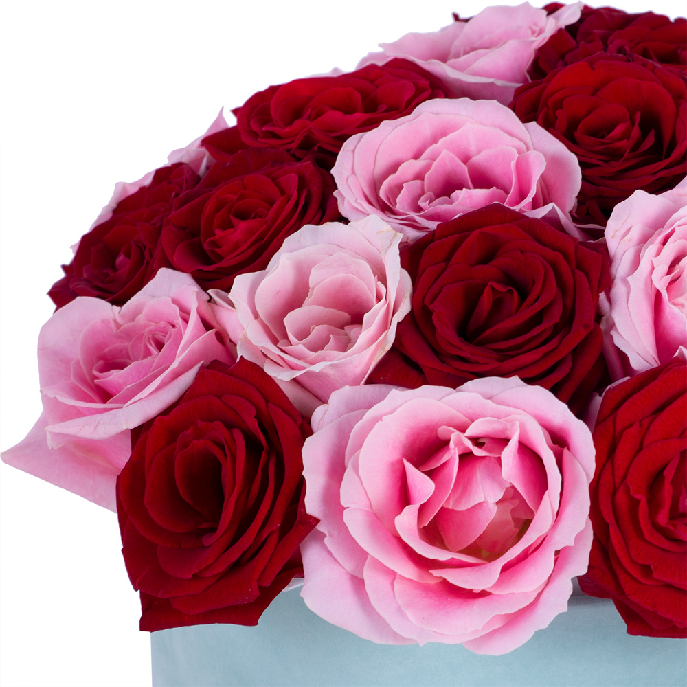 Букет из 35 разноцветных роз premium в зеленой бархатной шляпной коробке