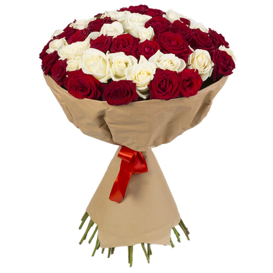 51 красная и белая роза 50 см