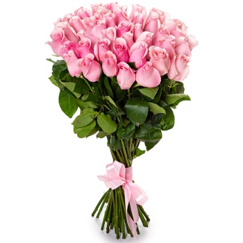 Букет из 35 розовых роз Эквадор 70 см