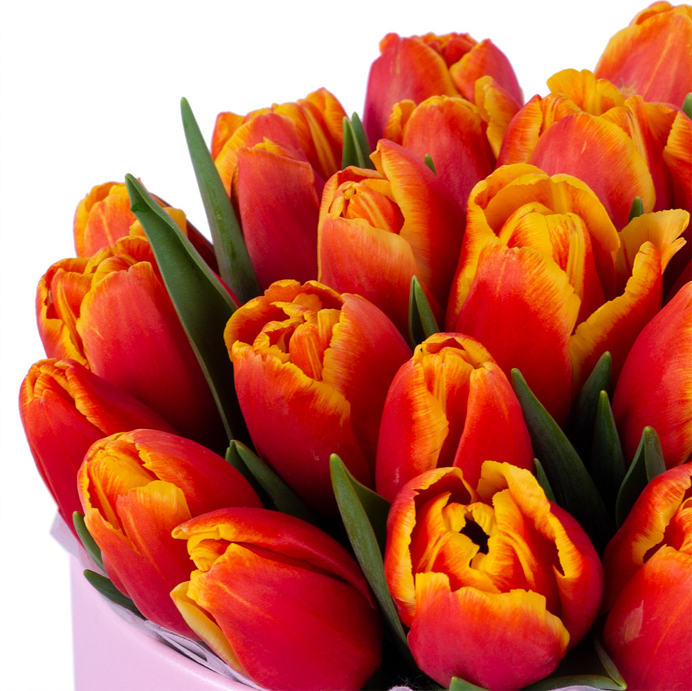 25 огненных тюльпан в розовой шляпной коробке