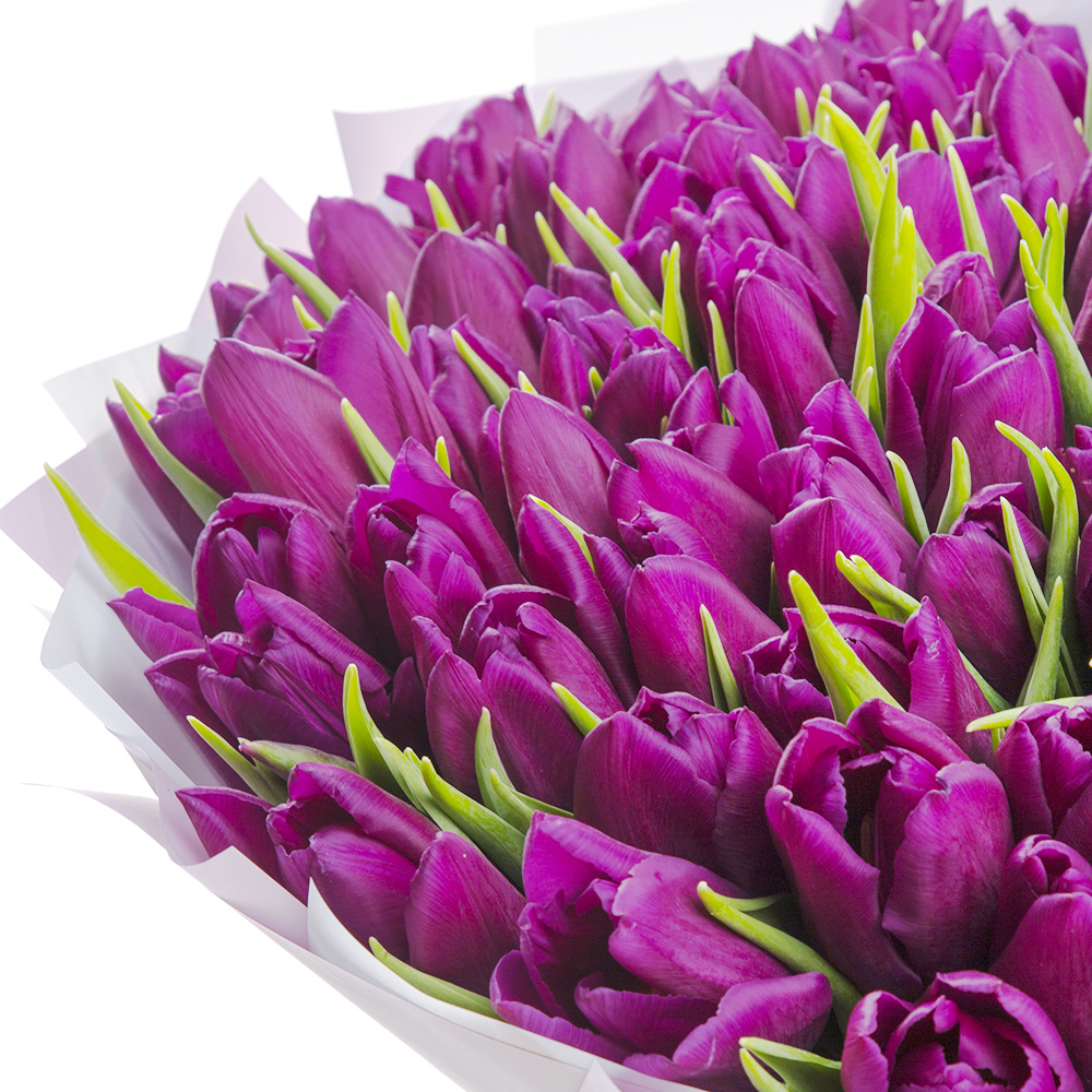 Букет из 101 сиреневого тюльпана