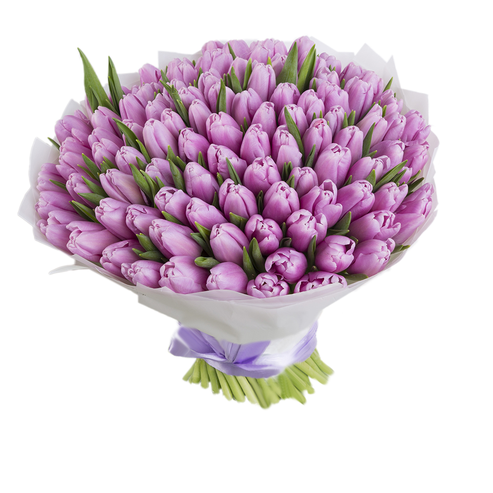 101 фиолетовый тюльпан