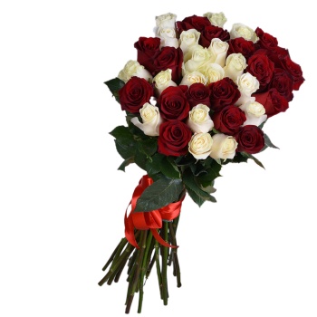 35 разноцветных роз Эквадор 70 см