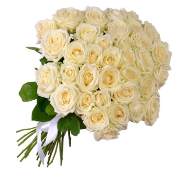 35 белых роз 50 см под ленту