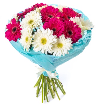 Букет из 19 разноцветных гербер