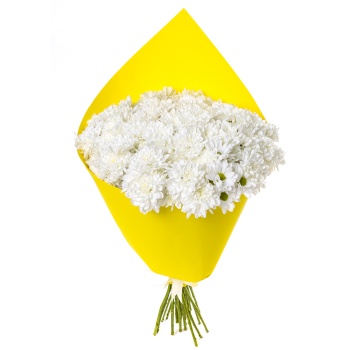 Букет из 19 белых хризантем