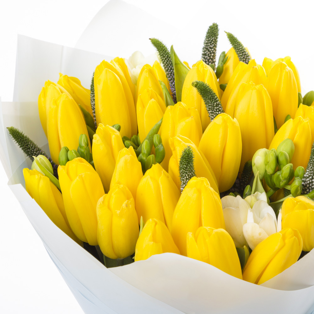 35 желтых тюльпанов с фрезией