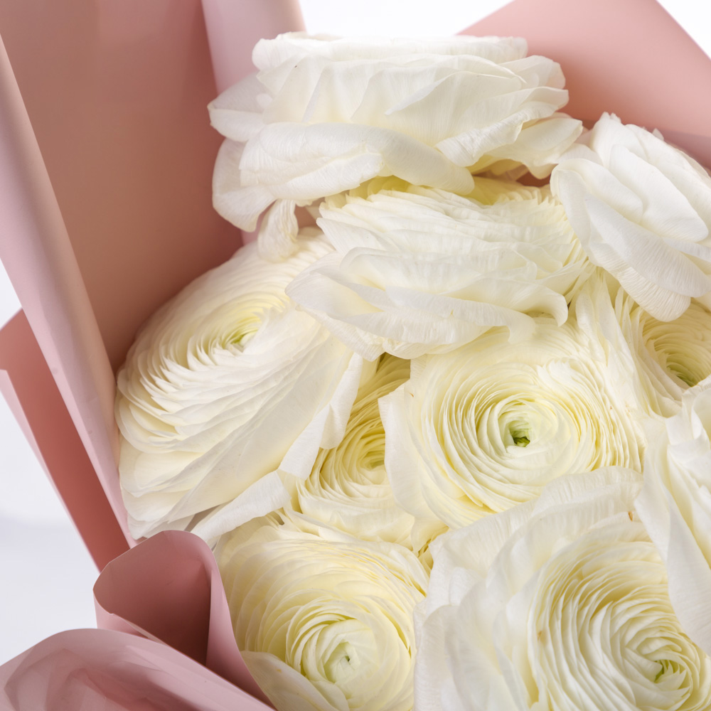 Букет из 11 белых ранункулюсов