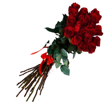 19 красных роз 70 см