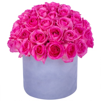 Букет из 51 малиновой розы premium в серой бархатной шляпной коробке