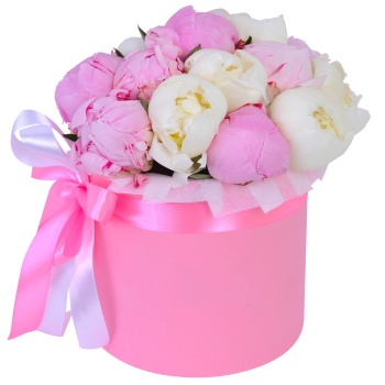Букет из 11 разноцветных пионов в розовой шляпной коробке