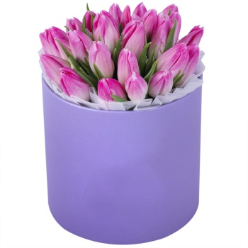 25 бело-розовых тюльпан в фиолетовой шляпной коробке