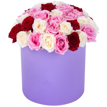 Букет из 51 разноцветной розы premium в фиолетовой шляпной коробке