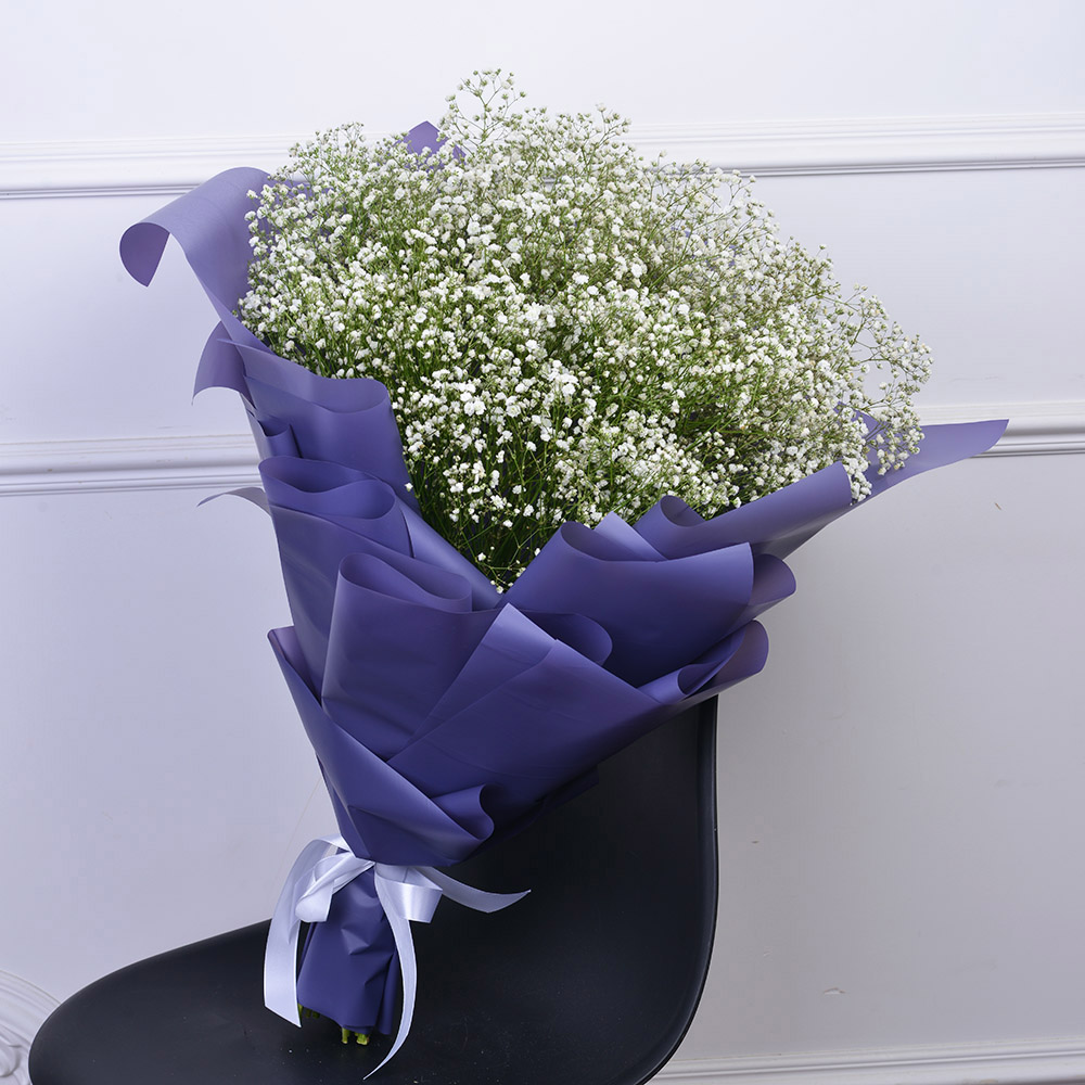 Букет из 19 белых гипсофил