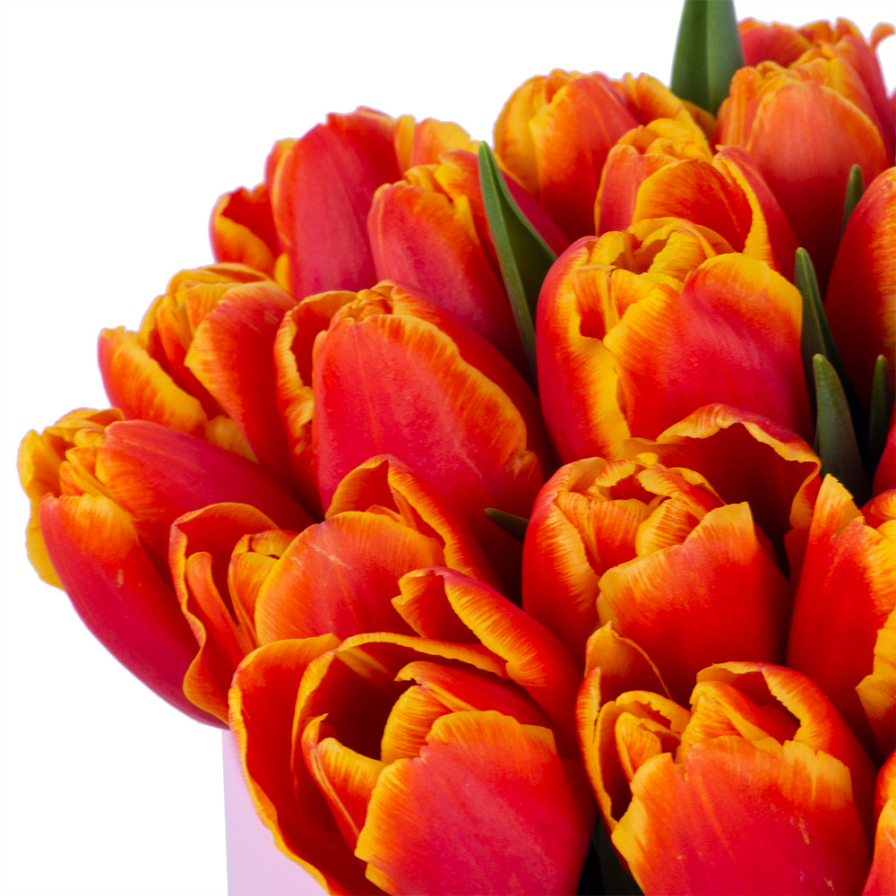 35 огненных тюльпан в розовой шляпной коробке