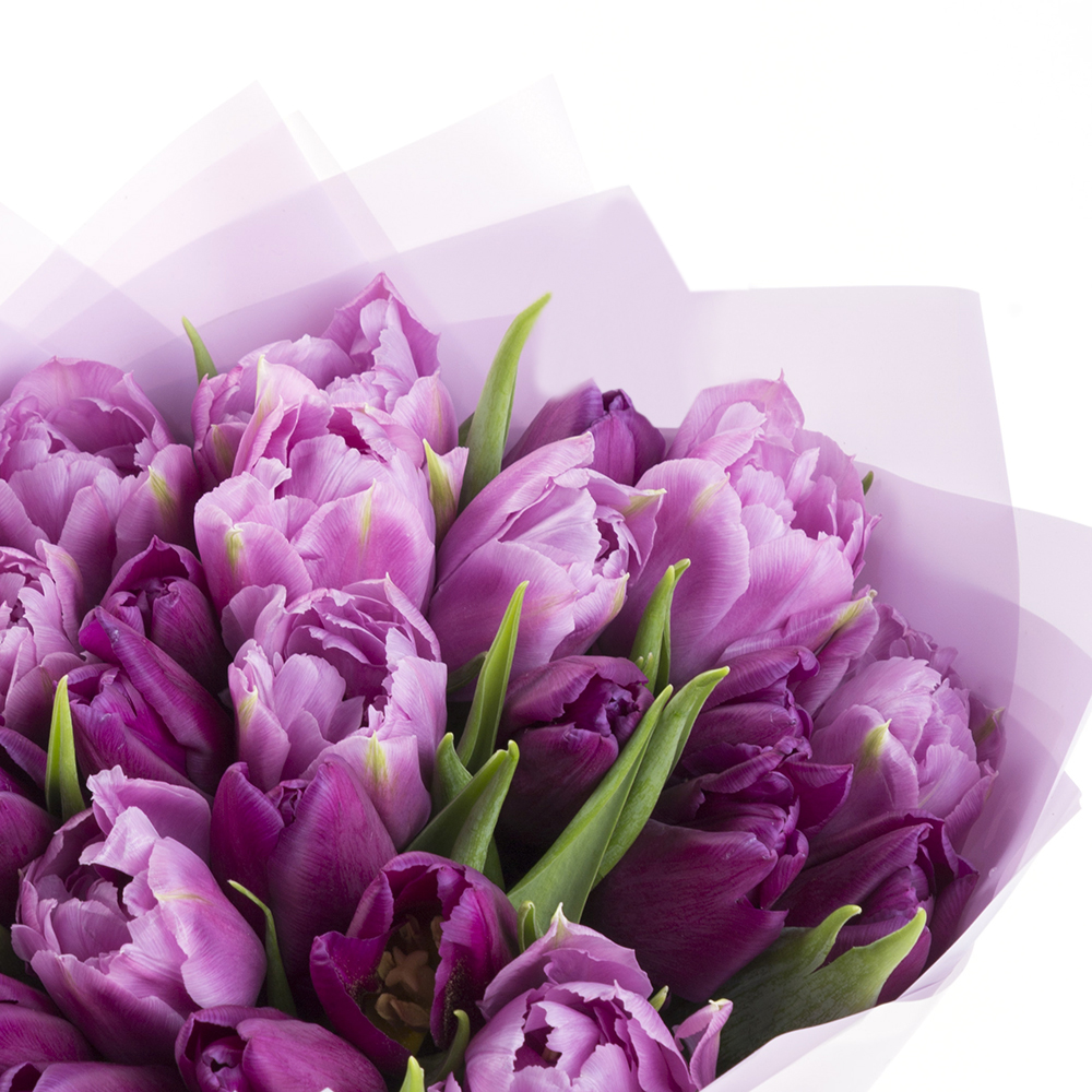 Букет из 25 сиреневых тюльпанов