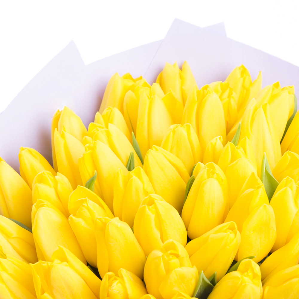 35 желтых тюльпанов