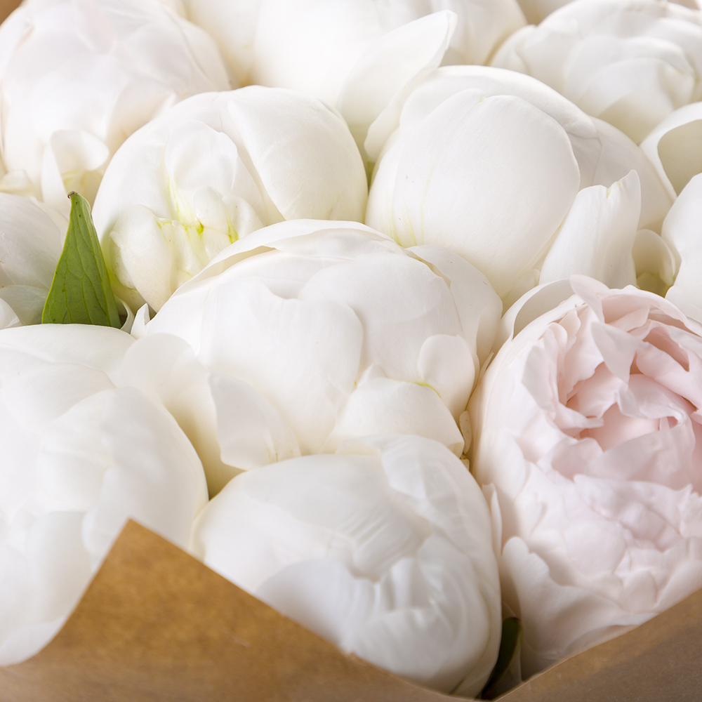 Букет из 11 белых пионов в крафте